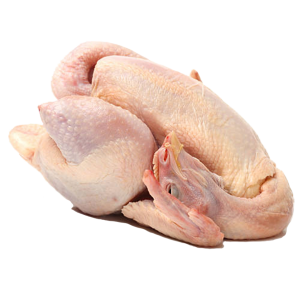 鹿野土雞(900-1100g/隻)